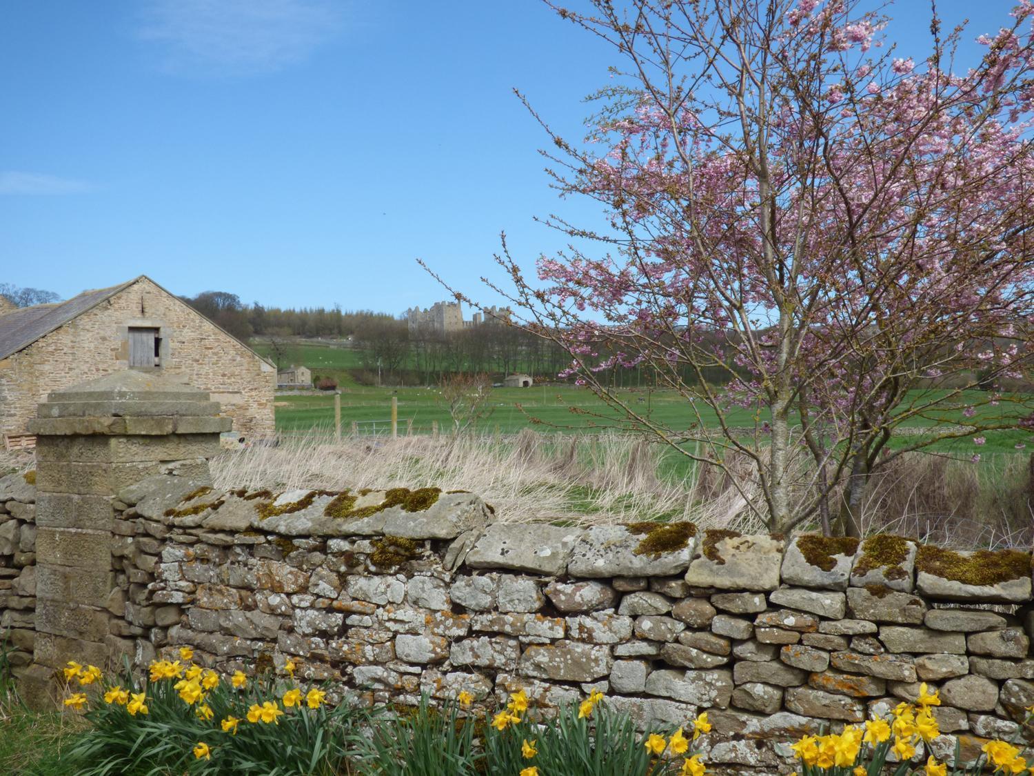 Barn Cottage West Burton Экстерьер фото